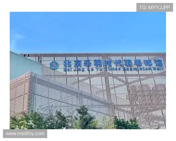 北京羽毛球队的控制革新与未来发展战略深度解析