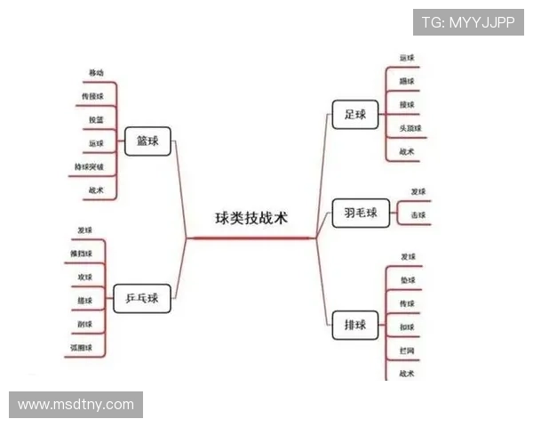 深圳排球队配合策略分析与战术提升探讨