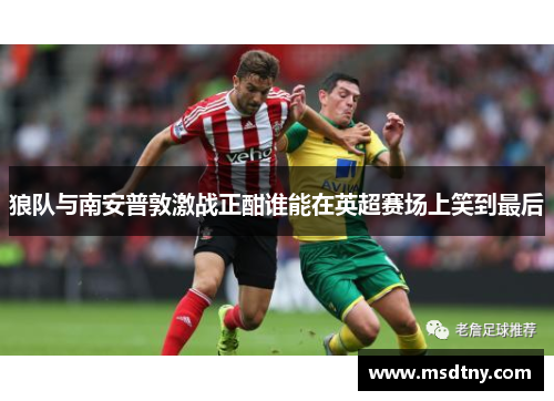 狼队与南安普敦激战正酣谁能在英超赛场上笑到最后