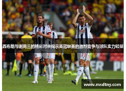 西布朗与谢周三的精彩对决揭示英冠联赛的激烈竞争与球队实力较量