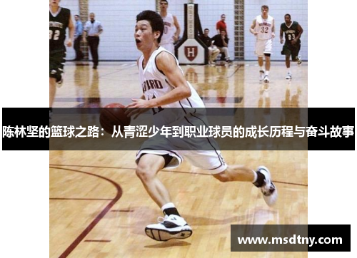 陈林坚的篮球之路：从青涩少年到职业球员的成长历程与奋斗故事